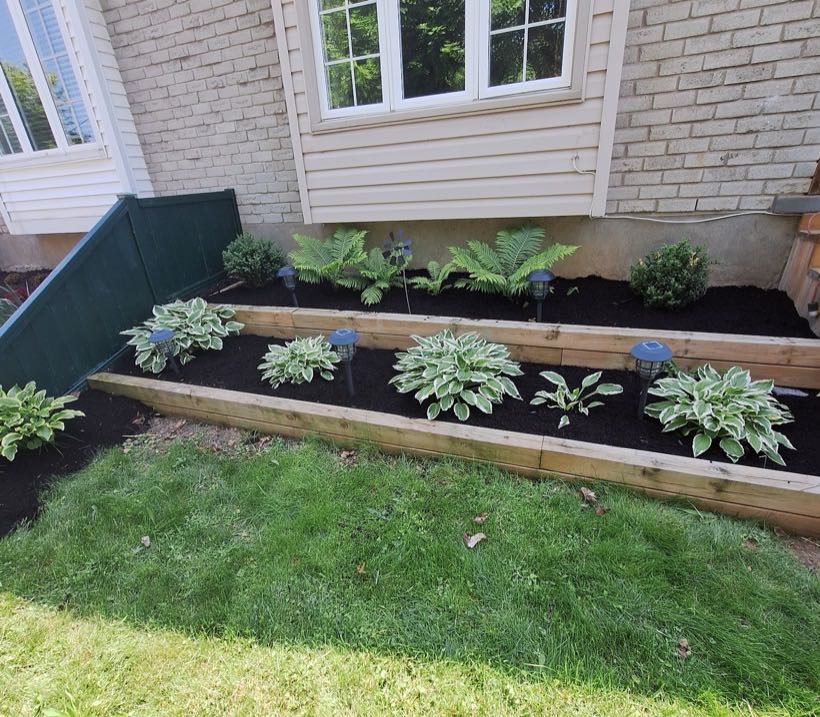 Fresh mulch and tidy planting beds installed by Maintenance Mike