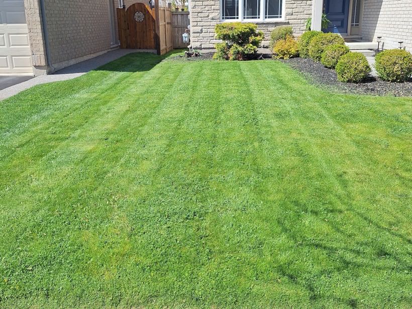Neatly striped lawn mowed by Maintenance Mike