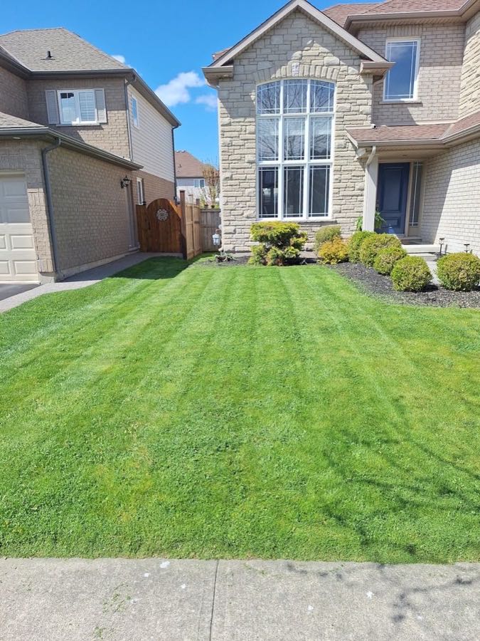 A freshly mowed, striped front lawn cared for by Maintenance Mike